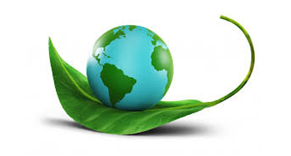 ENVIRONMENT